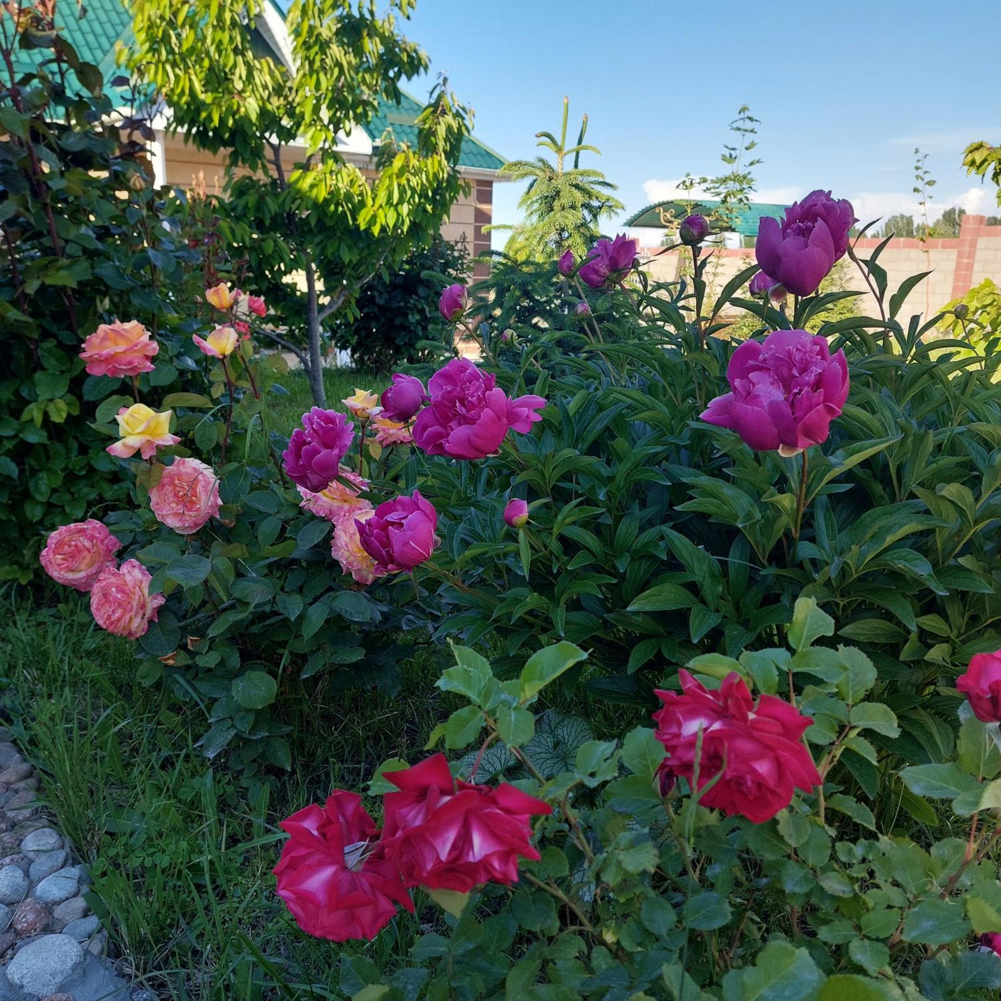 Svetlana Guest House Bokonbayevo Bagian luar foto