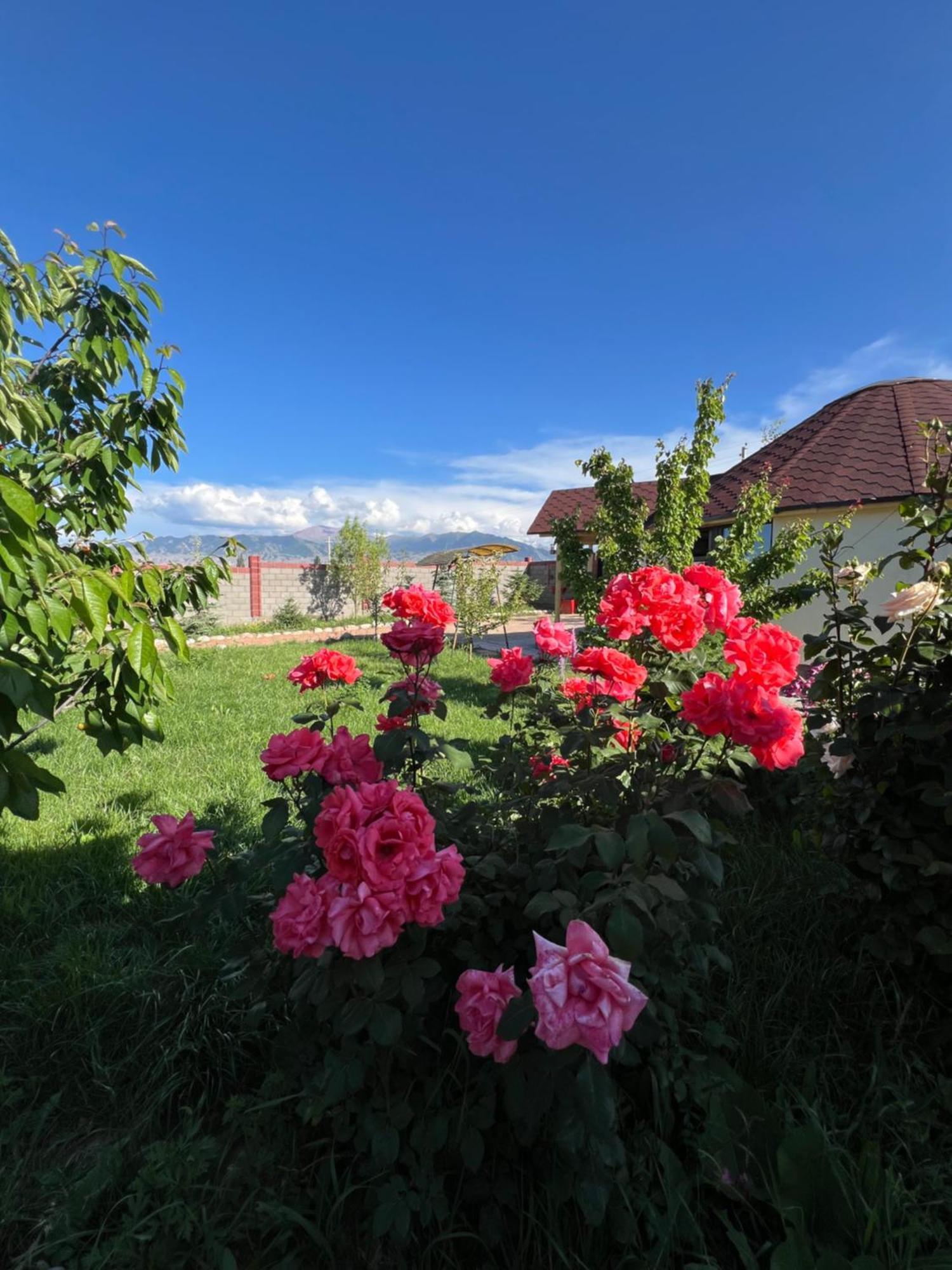 Svetlana Guest House Bokonbayevo Bagian luar foto