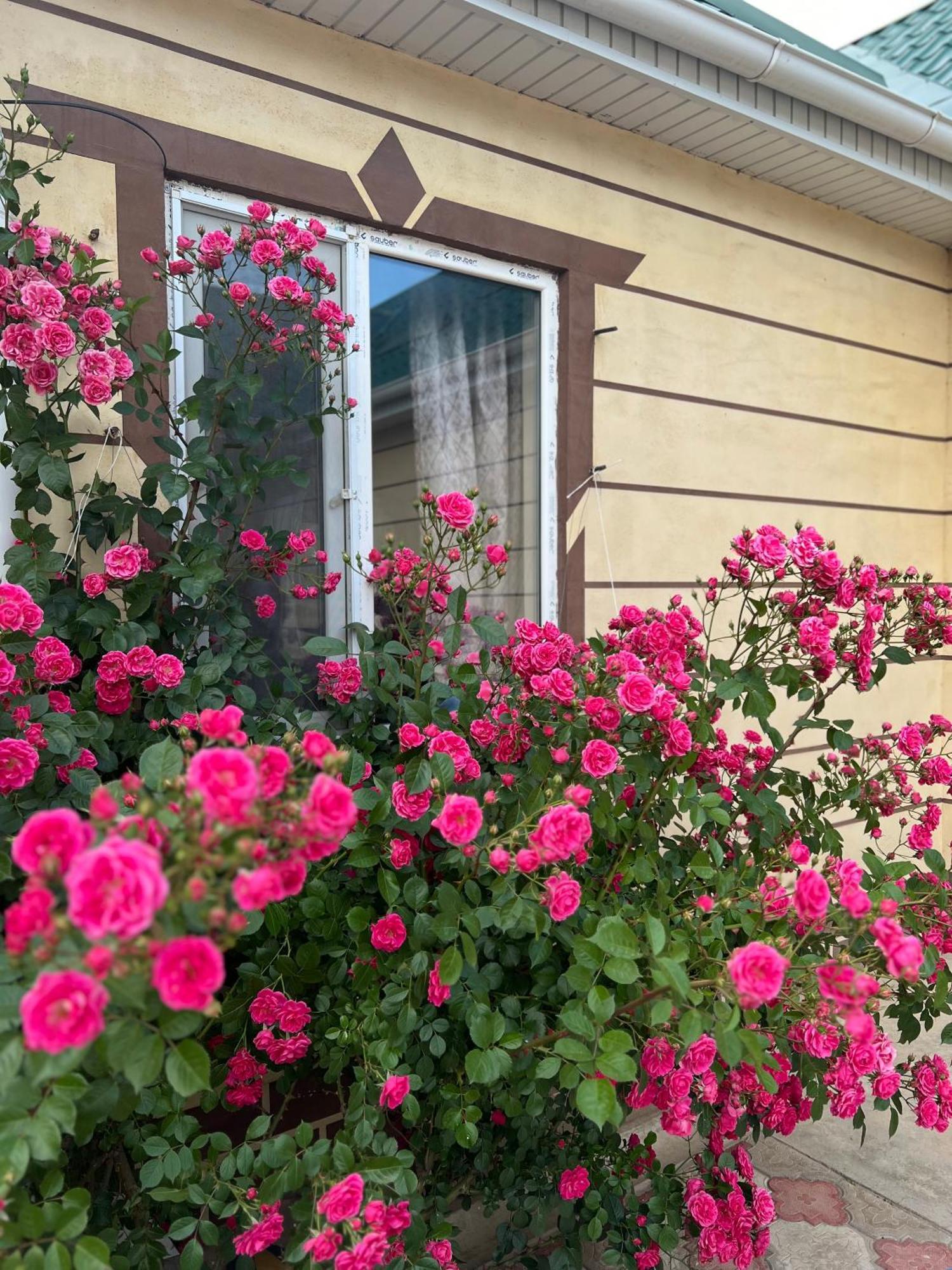 Svetlana Guest House Bokonbayevo Bagian luar foto