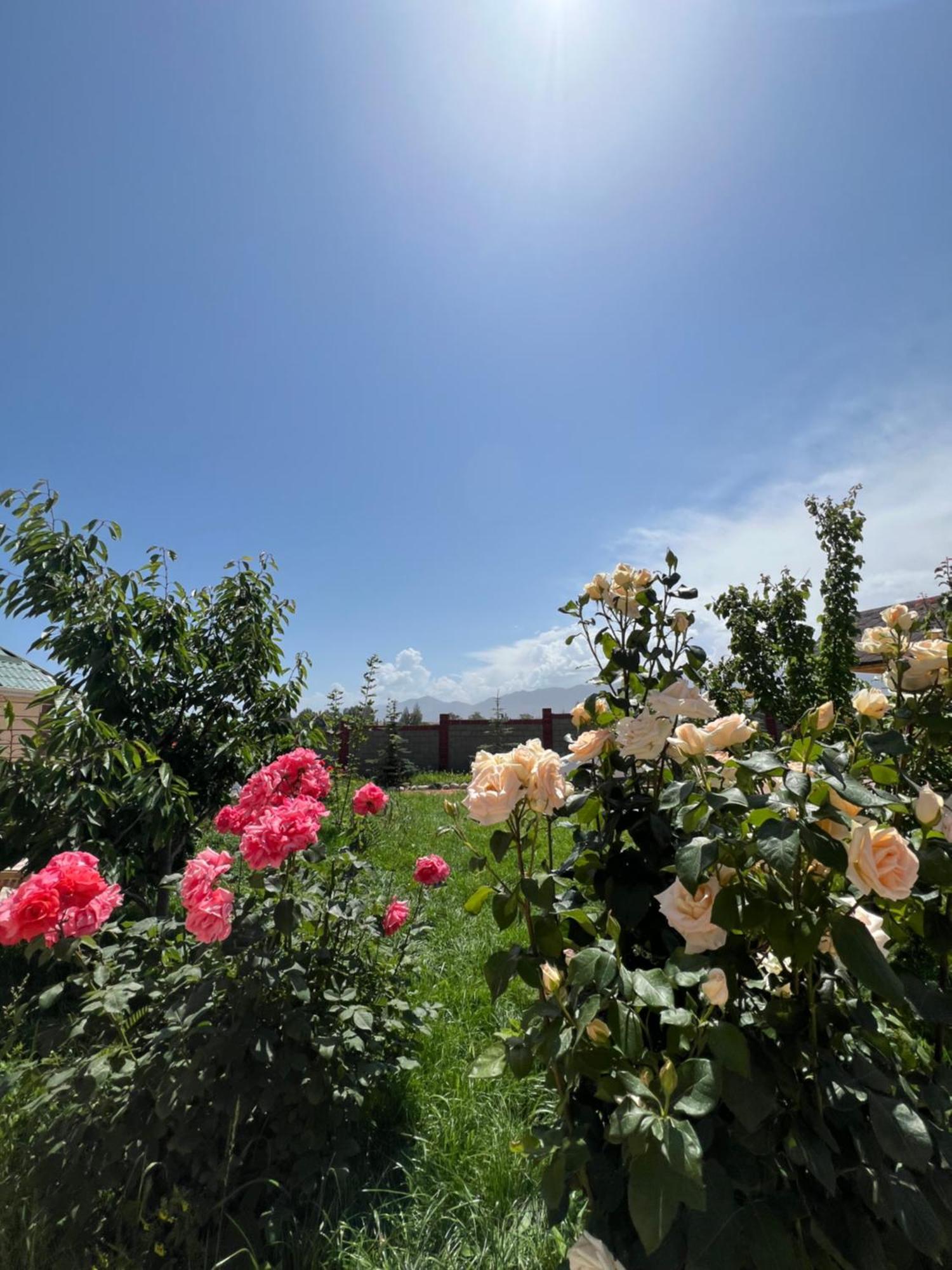 Svetlana Guest House Bokonbayevo Bagian luar foto